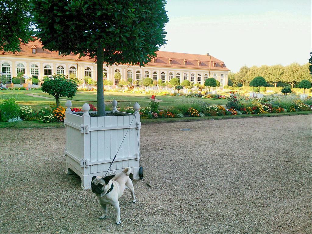 Der Platengarten Ansbach Exterior photo